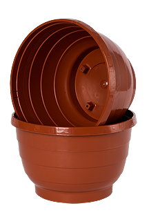 Terracotta