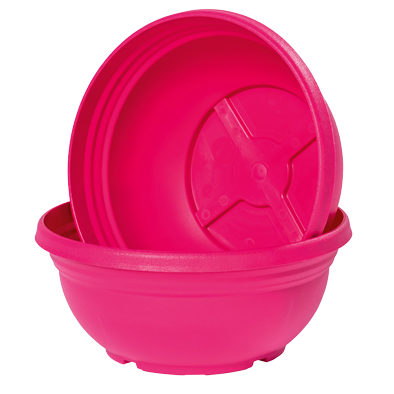 Magenta