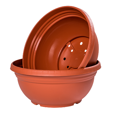 Terracotta
