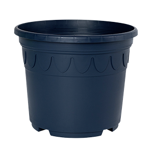 Sonderfarbe blau Genua
