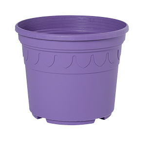 Sonderfarbe blaulila Genua