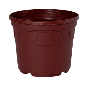 Sonderfarbe braun Genua