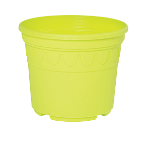 Sonderfarbe gelbgruen Genua