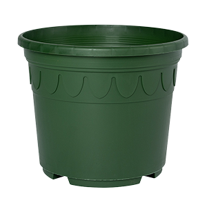 Sonderfarbe gruen Genua