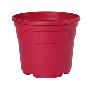 Sonderfarbe himbeerrot Genua