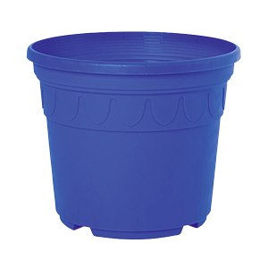 Sonderfarbe koenigsblau Genua