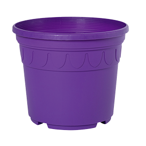 Sonderfarbe lila Genua
