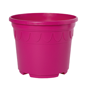 Sonderfarbe magenta Genua