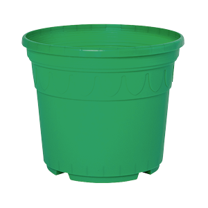 Sonderfarbe minzgruen Genua