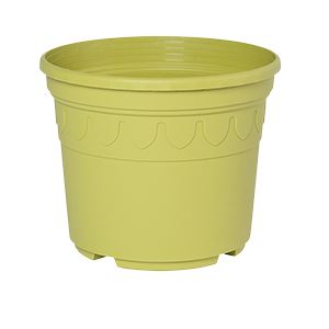 Sonderfarbe ockergruen Genua