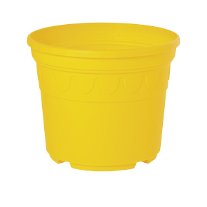 Sonderfarbe sonnengelb Genua