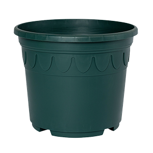 Sonderfarbe tannengruen Genua