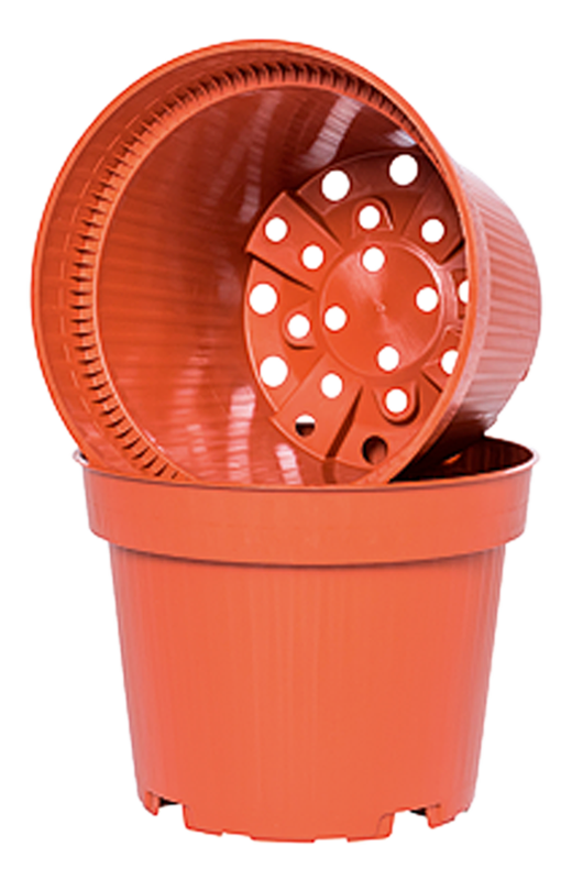 Terracotta